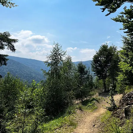 Apartamento W Cyganskim Lesie Bielsko-Biala