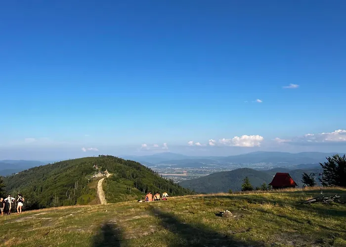 W Cyganskim Lesie * بييلسكو بياوا