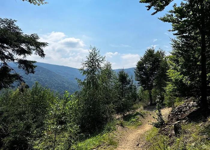 شقة W Cyganskim Lesie بييلسكو بياوا